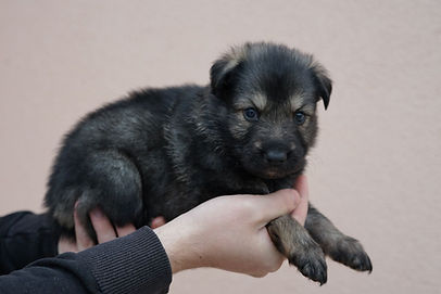 WhatsApp Image 2025-11-27 à 13.07.00_98efa693.jpg