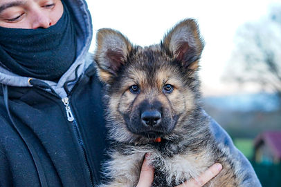 WhatsApp Image 2025-12-26 at 21.41.42 (5).jpg