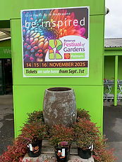 IMG_4225.JPEG
