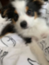 IMG_1464.jpeg