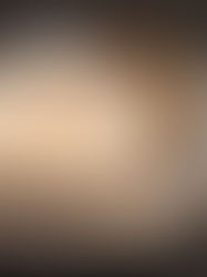 Arroz Con Leche Cremoso