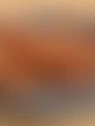 Meriendas Dominicanas: Turcos de Pollo