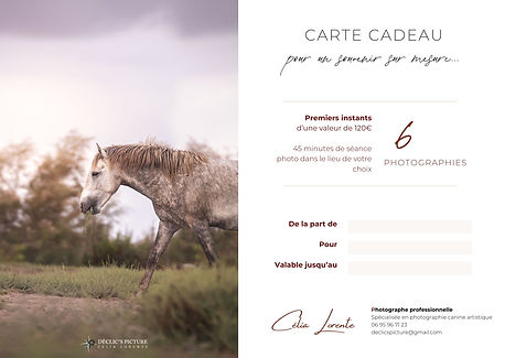 Carte cadeau pour une séance photo cheval