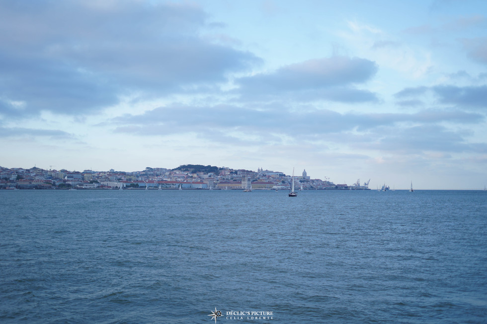 DSC09526.jpg