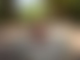 איך לטייל בזול בארץ?