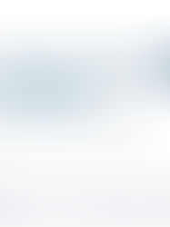 INTELLIGENT TRAVEL SOLUTIONS