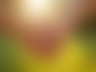 Capturing Authentic Moments in Lifestyle Family Sessions