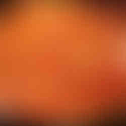 diced tomatos and onions cooking in a pan