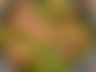 A blue pottery bowl of cheesy peas with ham