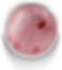 MORANGO