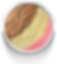 NAPOLITANO