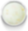 CUPUAÇU