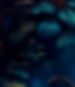 Background_v5_edited.jpg