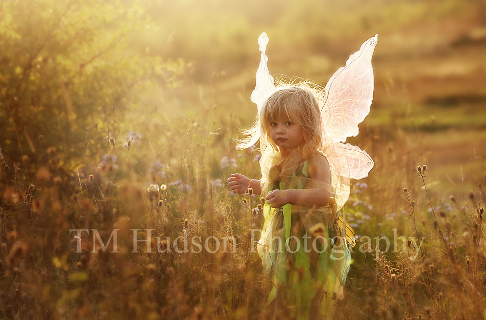 eviefairy22091420small.jpg