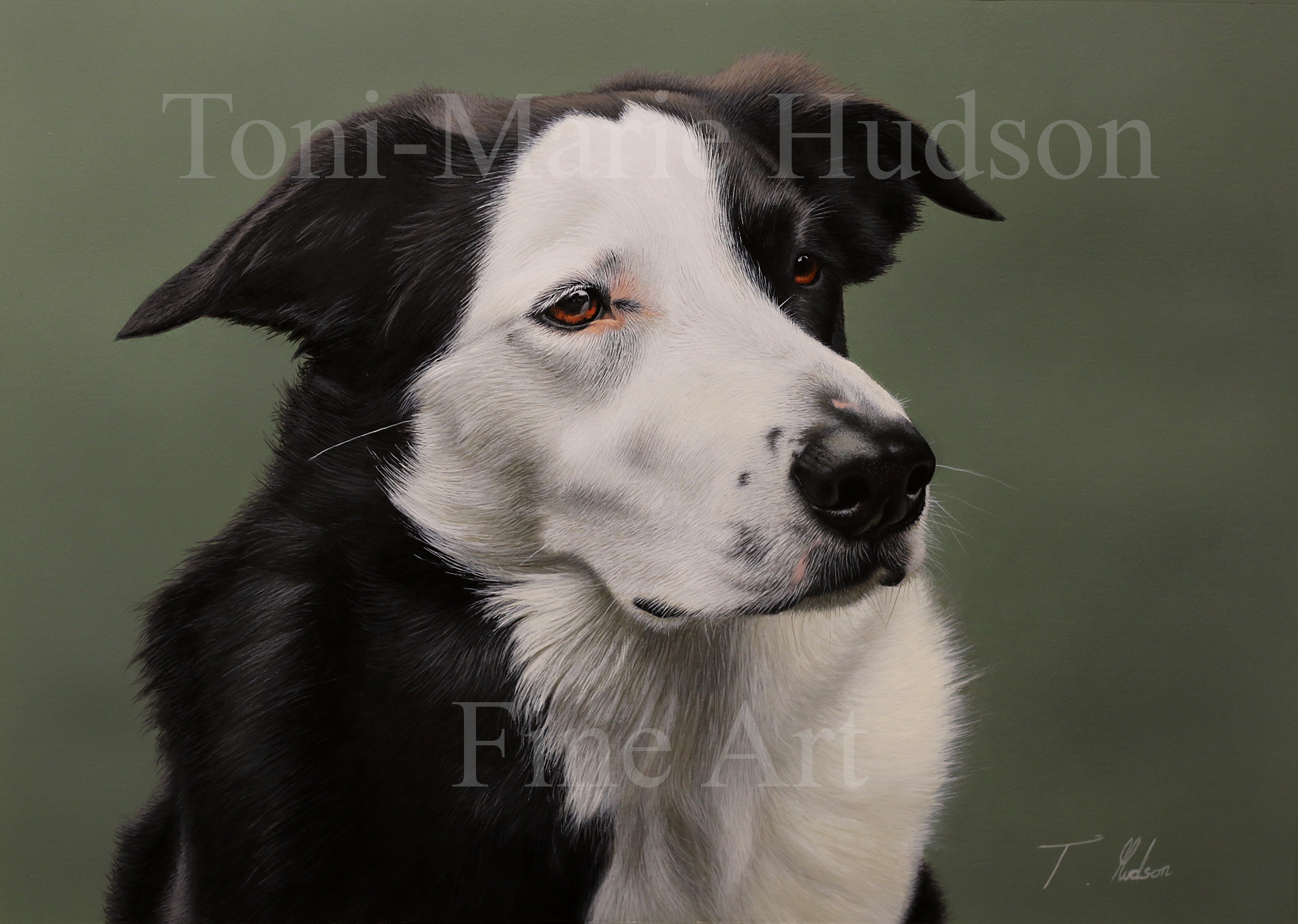 Hudsontext