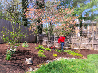 Book Your Spring Cleaning