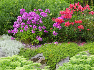 We Use 100% Organic Mulch