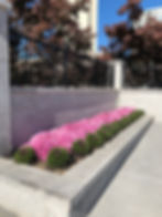 Nurney Commercial Projects