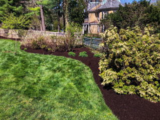 Year-Round Lawn Care For Your Home