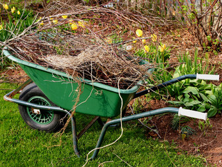 Spring Cleanup
