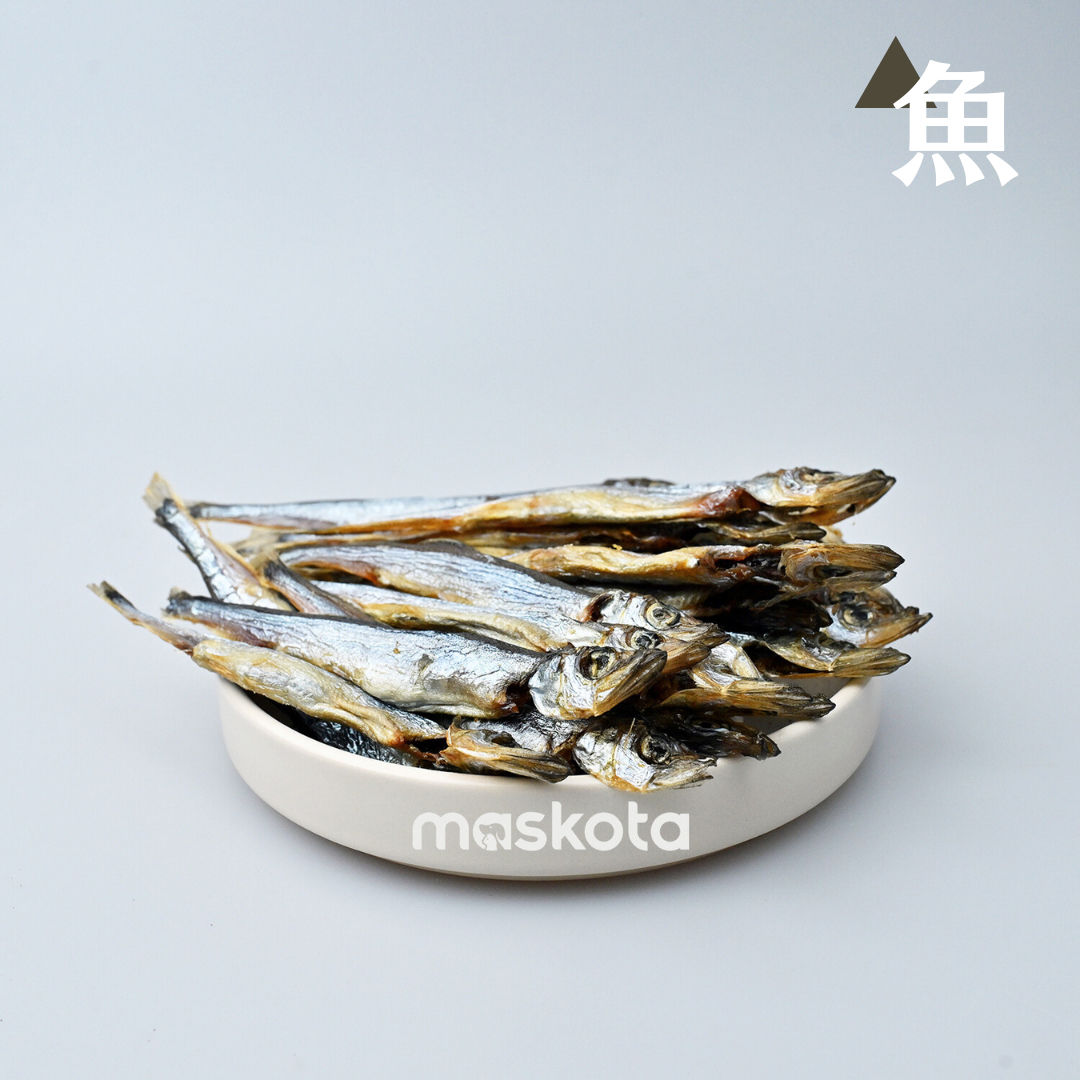 無添加 手作り国産シシャモ乾燥ジャーキー 無塩 魚 ペットフード 100g