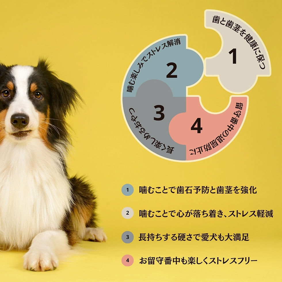 サムネイル： maskota 無添加 国産 羊内臓ジャーキー（希少部位）ペットおやつ 65g