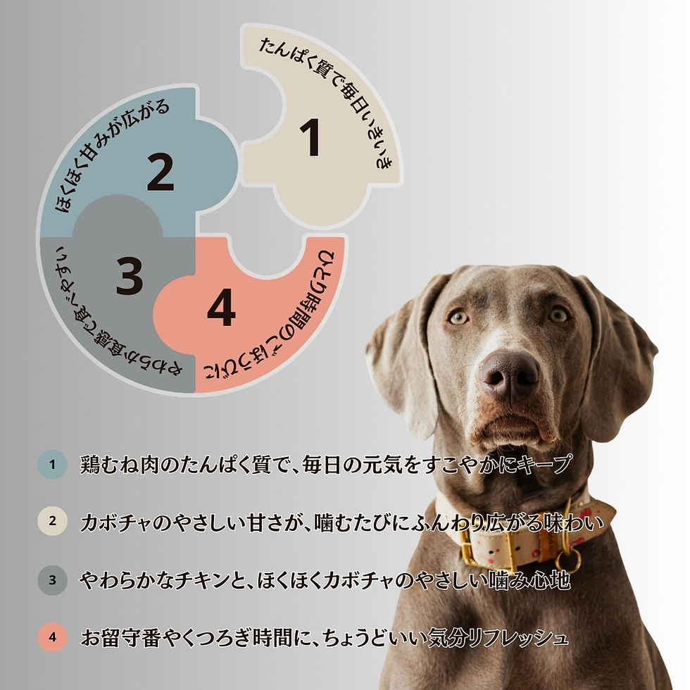 サムネイル： maskota 無添加 手作り 国産 鶏むね肉巻きかぼちゃ　ジャーキー ペットおやつ 200g