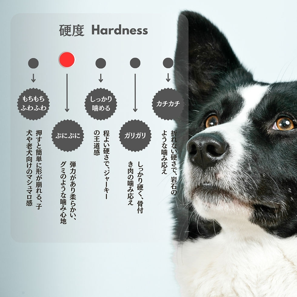 サムネイル： maskota 無添加 手作り 国産 鶏むね肉巻きかぼちゃ　ジャーキー ペットおやつ 200g