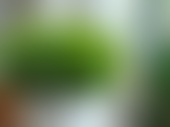 Desenvolvendo Lideranças: Estratégias para o Sucesso Empresarial