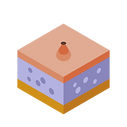 Design ohne Titel (46).png
