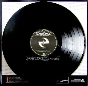 fallen vinyl re release black vinyl.jpg