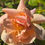 Thumbnail: This photo has an open bloom of the rose Crepescule. It has pointed petals that are peachy orange in color.