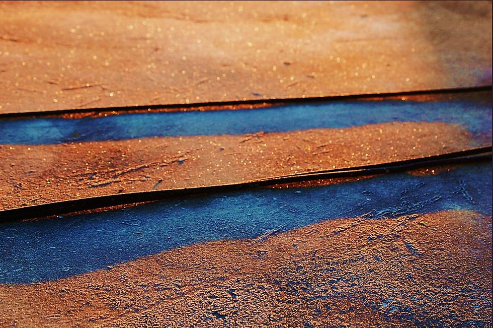 website - frosty roof.JPG