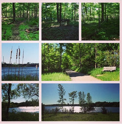 Summer is the bestttt!!!