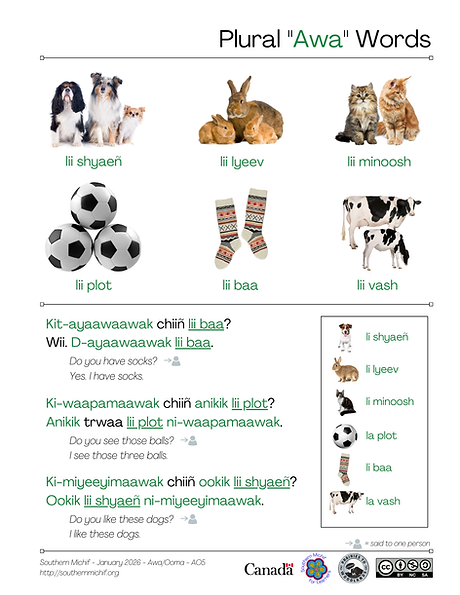 Plural “Awa” Words learning page: Southern Michif phrases with English translations.