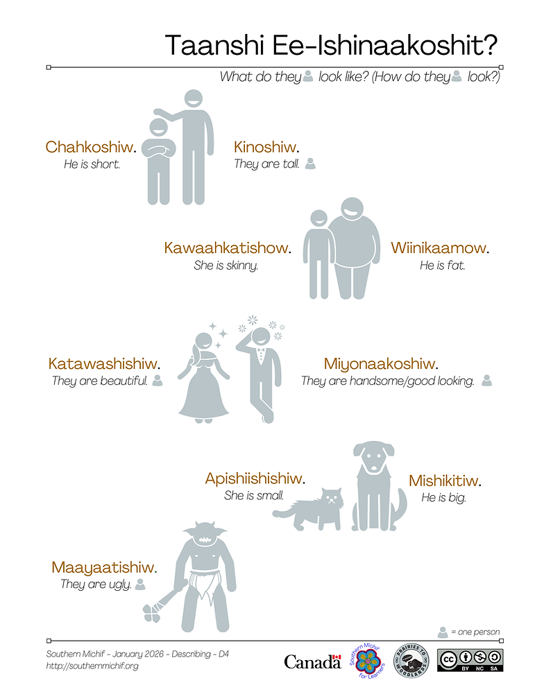 What Do They Look Like? learning page: Southern Michif phrases with English translations.