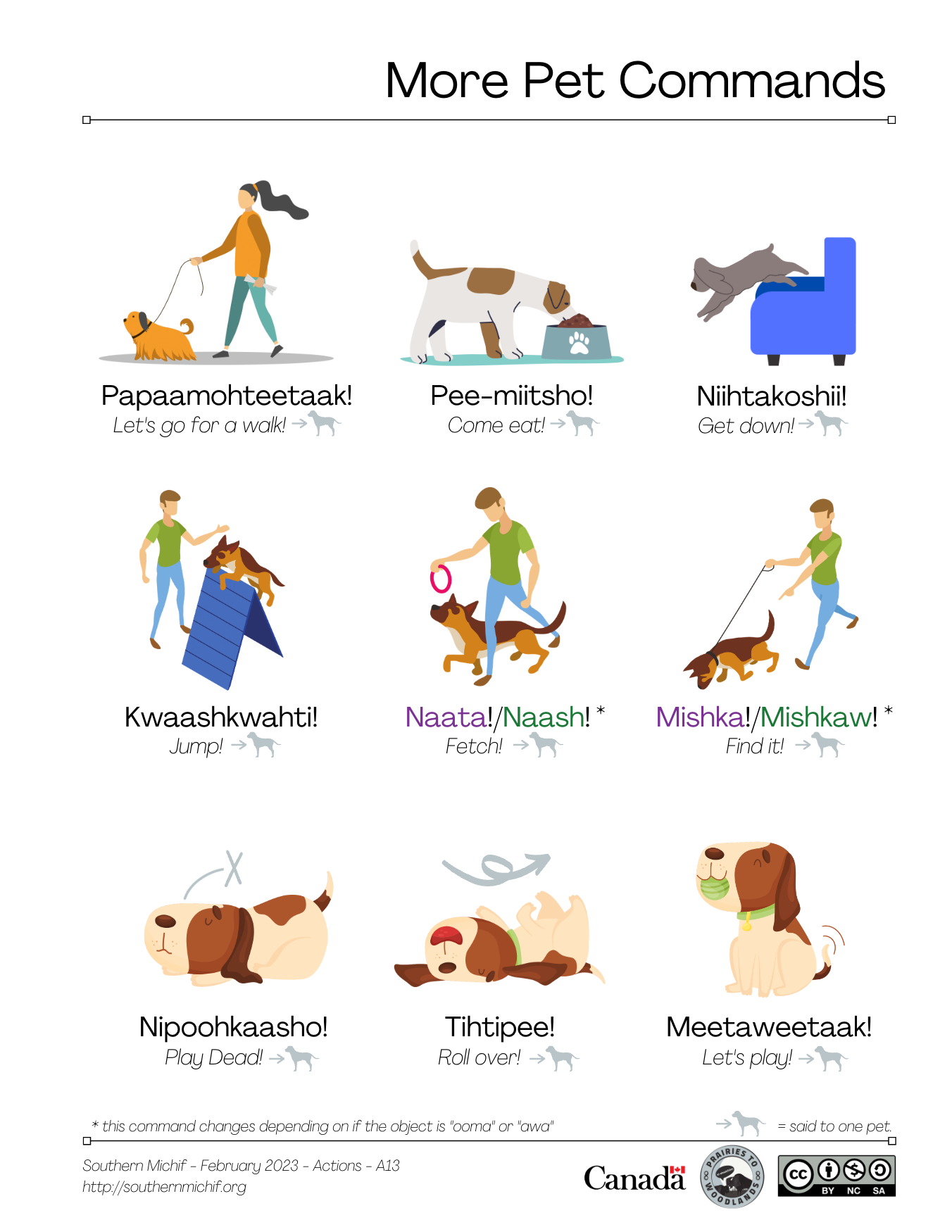 Southern Michif for Learners