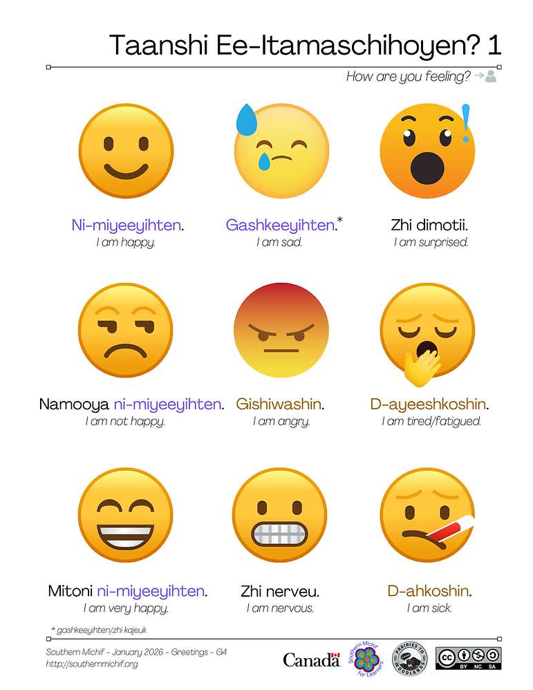 How Are You Feeling? 1 learning page: Southern Michif phrases with English translations.