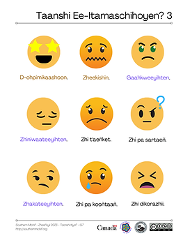 Taanshi Ee-Itamaschihoyen? 3