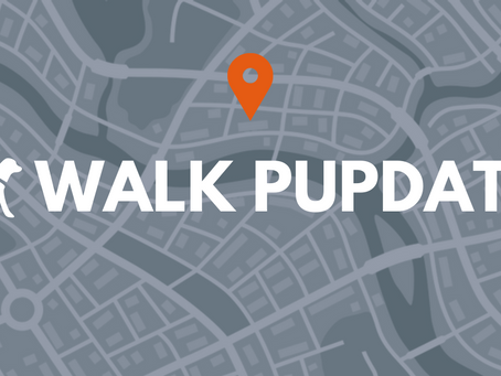 Introducing Dog Walk Pupdates