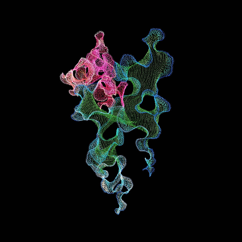 Untamed13
2023
Julia Hung
Enamelled copper Wire H86 x W56 x D34 cm
woven sculpture