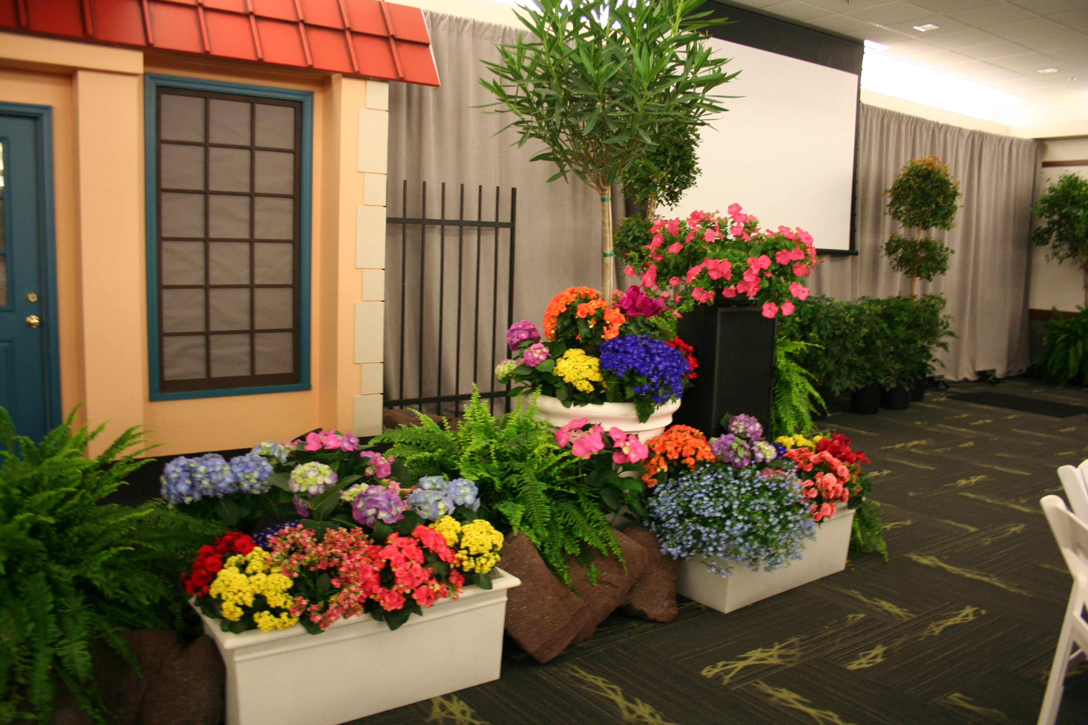 McNamara Florist Plant Rentals