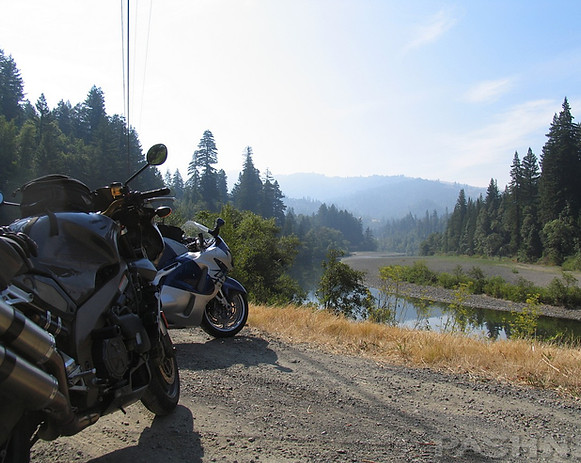 Avenue of the Giants | Eel River | Humboldt County, CA