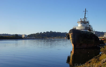 DSC00269.jpg