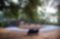 DSC08666.jpg
