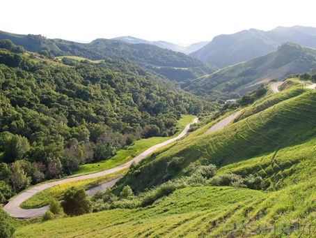 Santa Rosa Creek Rd - Cambria, CA