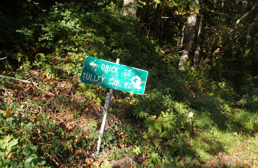 Bald Hills Rd California Motorcycle Roads Pashnit
