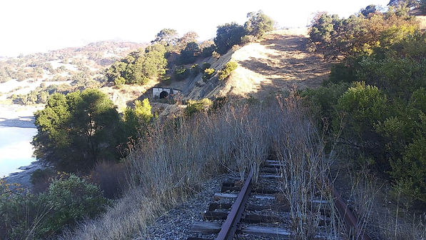 eel-river-canyon-along-the-great-redwood