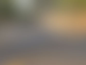 Highway 245 - The 4-yr-old in church.