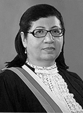 Árvores altas
